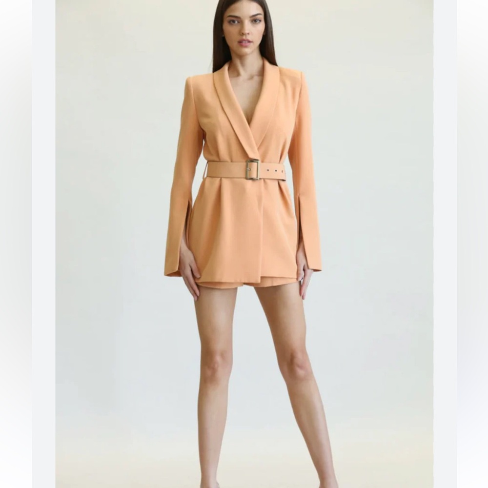 Slit Blazer Sleeve Dress